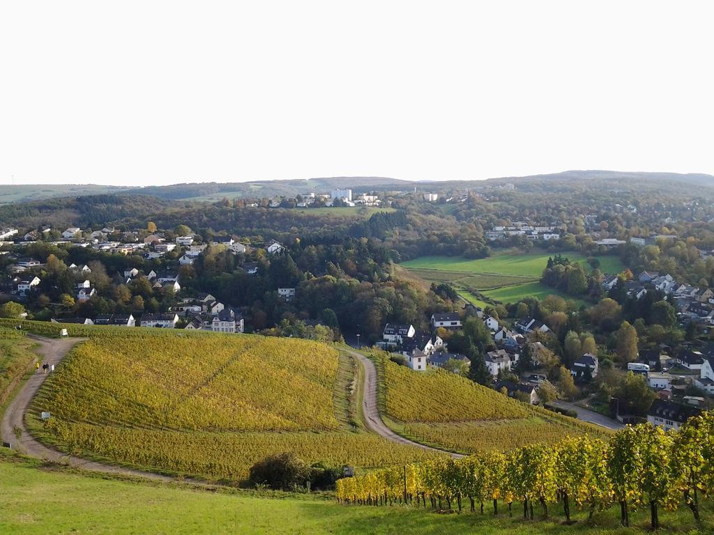 Saar-mosel-tal Konz